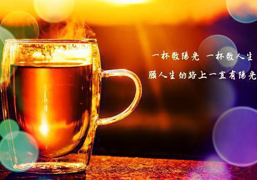 燕聿陆清悦阅读完整陆清悦燕聿完结版全章节阅读