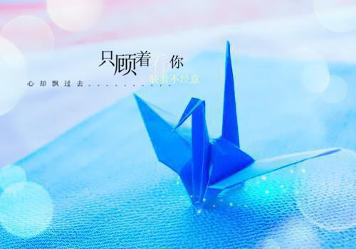 2024年爆款小说（婚心蚀骨小说）姜诺顾宴全文在线完本姜诺顾宴读