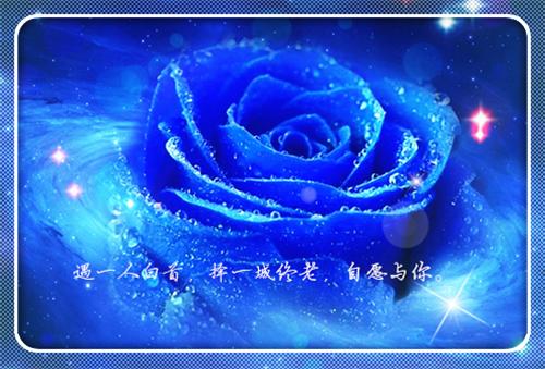 （江小菱周朔小说完整版）周朔江小菱全文免费阅读-（周朔江小菱）江小菱周朔小说最新章节列表