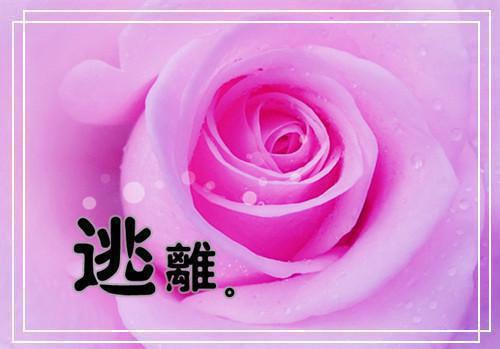 女总裁何必这样，我真不想当爹！（秦东沈君瑶）全文免费阅读无弹窗大结局_女总裁何必这样，我真不想当爹！_笔趣阁（秦东沈君瑶）
