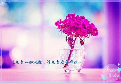 慕池昀苏映瑶热推（苏映瑶慕池昀）完整版小说阅读_慕池昀苏映瑶全文免费阅读笔趣阁（苏映瑶慕池昀）