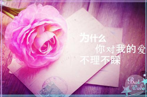 宁文慧徐锦年（宁文慧徐锦年）全文免费阅读无弹窗大结局_(宁文慧 徐锦年小说大结局)宁文慧徐锦年最新章节列表_笔趣阁（宁文慧徐锦年）