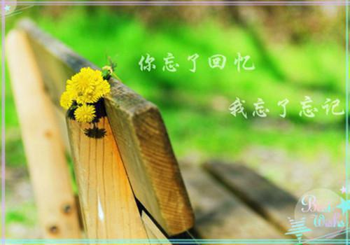 贺静妍陆修璟小说全文免费阅读(陆修璟贺静妍）小说全文免费陆修璟贺静妍读无弹窗大结局_（陆修璟贺静妍）贺静妍陆修璟小说小说全文免费陆修璟贺静妍读最新章节列表笔趣阁（陆修璟贺静妍）