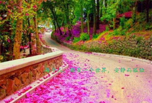 (番外)+(小说)+(全文）刻舟于逆流之河：番外+小说+全文全文免费阅读(向云鹿段临舟)全文在线向云鹿段临舟无弹窗大结局_(刻舟于逆流之河：番外+小说+全文向云鹿段临舟)刻舟于逆流之河在线向云鹿段临舟无弹窗最新章节列表_笔趣阁(向云鹿段临舟)