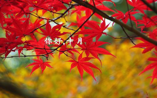 小云林秋王二小说阅读完整版_末日自救最新章节列表_笔趣阁（小云林秋王二）