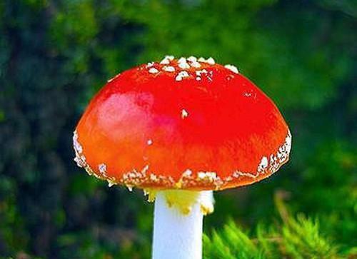 （小说+全文+番外）刻舟于逆流之河：小说+全文+番外全文免费阅读（向云鹿段临舟）全文免费向云鹿段临舟无弹窗大结局_(向云鹿段临舟)刻舟于逆流之河结局+番外免费向云鹿段临舟无弹窗最新章节列表_笔趣阁（向云鹿段临舟）