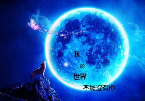 三分瘾小说txt（三分瘾小说txt）小说免费在线阅读_白音洛周庭柯大结局全本最新后续阅读（三分瘾小说txt）