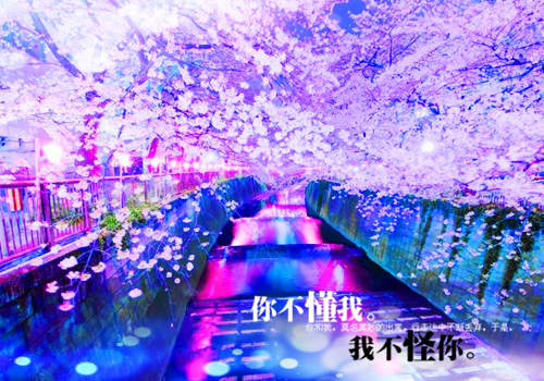 八次机会免费阅读无弹窗，小说颜知暖段意寒大结局全文免费阅读