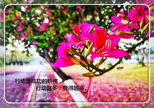 暧昧学长的女朋友小说全文免费阅读（周皓周钦安朵）全文免费阅读无弹窗_暧昧学长的女朋友小说全文免费阅读_笔趣阁（周皓周钦安朵）