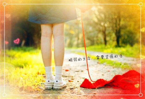 江挽月司凛鹤（江挽月司凛鹤）全文免费阅读无弹窗_江挽月司凛鹤小说免费阅读_笔趣阁
