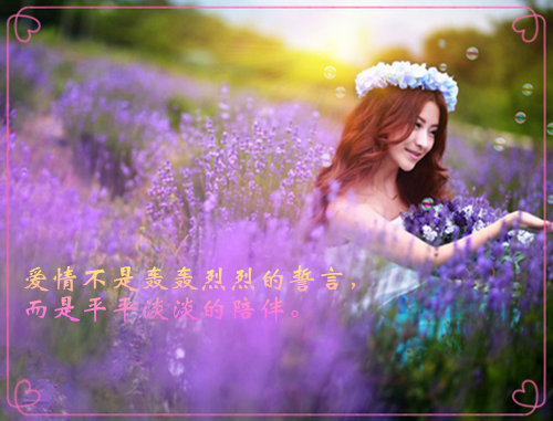 (爆火全本)雪落时无声：结局+番外+完结全文（姜瑞雪谢与安）在线完结版小说阅读_雪落时无声：结局+番外+完结全本列表免费笔趣阁（姜瑞雪谢与安）