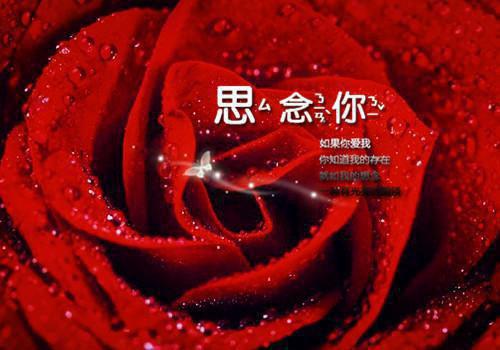 顾年川夏以沫小说最新试读_夏以沫顾年川小说名是（顾年川夏以沫）_笔趣阁
