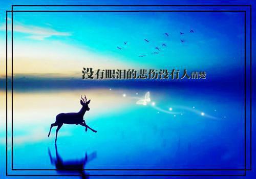 苏苏全文免费阅读（娘亲死后我笑了，爹爹却后悔疯了小说）全文免费苏苏阅读无弹窗大结局_(苏苏小说免费苏苏阅读全文大结局)最新章节列表_笔趣阁（苏苏）
