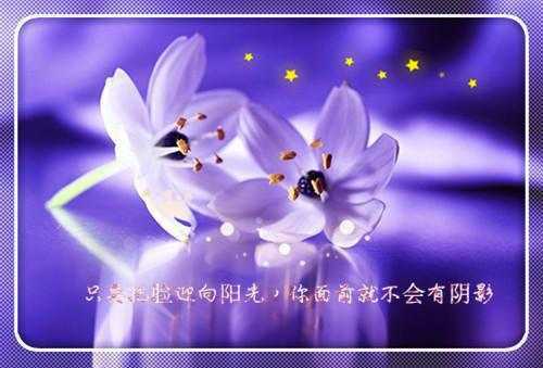 楚萧笙沈南枝全文免费阅读（于星垂月涌分离小说）全文在线阅读无弹窗大结局_(楚萧笙沈南枝于星垂月涌分离小说小说在线阅读)最新章节列表_笔趣阁（楚萧笙沈南枝）