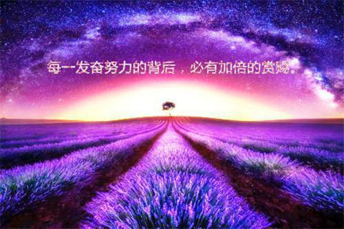 (番外)+(结局)重生六零他让戈壁成绿洲：结局+番外（霍紫悦叶逸明）免费阅读完整版_(重生六零他让戈壁成绿洲：结局+番外)最新章节列表_笔趣阁（霍紫悦叶逸明）