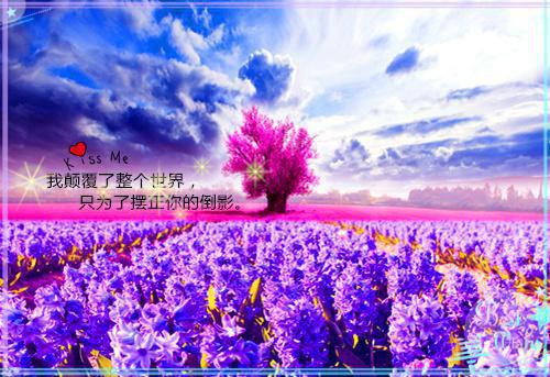 我了放份乡归偷假未，千婚娶的却金夫流身会糖舞花的棉跳小说全文免费阅读