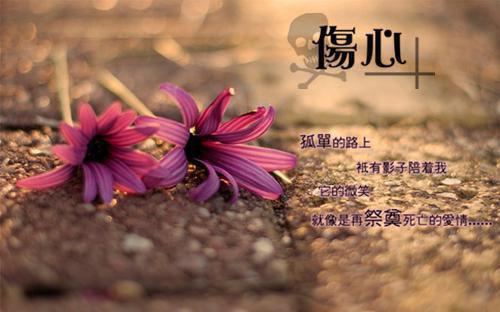 主角是林彩蝶赵峥嵘的小说叫什么名字八零海岛乘风破浪的军嫂精彩结局阅读