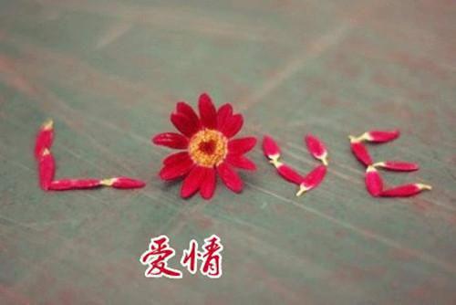老李家的锦鲤童养媳（陈小满李初元）多人推荐-陈小满李初元老李家的锦鲤童养媳好看的小说完整版全文