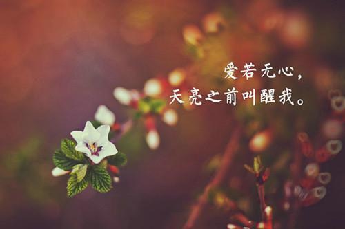 林蔻妍的小说林蔻妍陆默小说结局林蔻妍陆默全文阅读