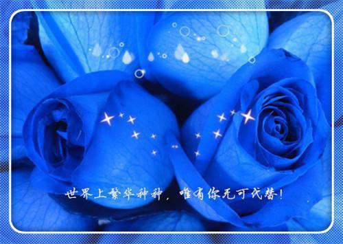 江肆宋晚栀小说（江肆宋晚栀）全文免费阅读无弹窗大结局_（江肆宋晚栀洛之鹤）江肆宋晚栀全文阅读-笔趣阁（江肆宋晚栀）