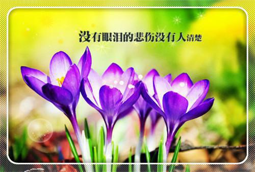 谷呦呦隋野下载阅读_(谷呦呦隋野后续)谷呦呦隋野最新章节列表_笔趣阁（谷呦呦隋野后续）(番外)+(全文)