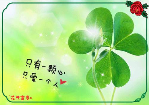 战少,乖乖宠我小说（江莞战言墨）全文免费阅读无弹窗大结局_战少,乖乖宠我（江莞战言墨小说）最新章节列表_笔趣阁（江莞战言墨）