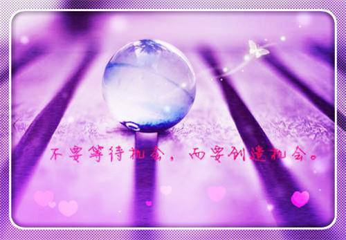 顾玖惜萧瑾瑢（顾玖惜萧瑾瑢）全文免费阅读无弹窗大结局_顾玖惜萧瑾瑢全文免费阅读最新章节列表_笔趣阁（顾玖惜萧瑾瑢）