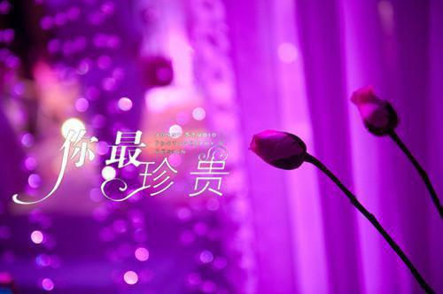 念你长安（谢若谨萧轻鸿）全文免费阅读无弹窗大结局_ (念你长安)谢若谨萧轻鸿免费阅读无弹窗最新章节列表_笔趣阁（谢若谨萧轻鸿）