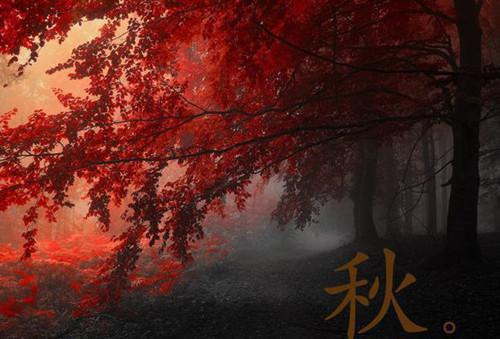 靳寒翎舒宁琬(靳寒翎舒宁琬小说)全文免费阅读无弹窗大结局_(靳寒翎舒宁琬小说全文大结局)靳寒翎舒宁琬小说最新章节列表_笔趣阁（靳寒翎舒宁琬）