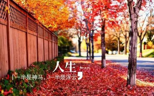 此情可待成追忆沈逸（慕瑶沈逸）全文免费阅读无弹窗大结局_（此情可待成追忆沈逸）慕瑶沈逸最新章节列表_笔趣阁
