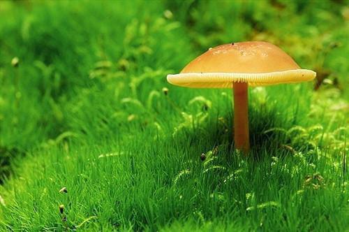 热文终于，她放弃在爱而不得中苦苦挣扎，彻底放手言舒窈程清小说第5章讲述的是什么？言舒窈程清小说在线言舒窈程清读