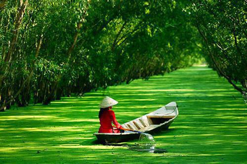 重生之抱歉我才是女主小说免费阅读（秦少婉宋景言）全文免费阅读_秦少婉宋景言全文阅读_笔趣阁（重生之抱歉我才是女主）