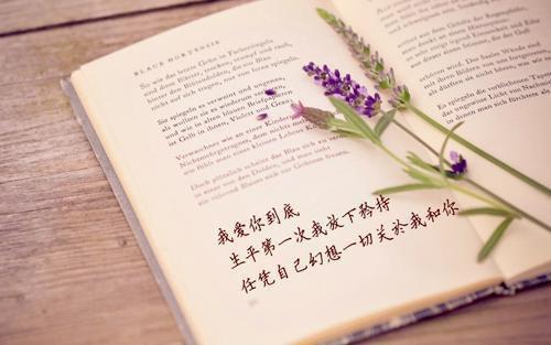 余年不必再相思全文免费阅读（宋宴泽陆云欢）全文免费阅读全文+后续大结局_余年不必再相思全文免费阅读_笔趣阁（宋宴泽陆云欢）