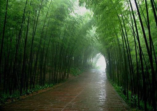蒋司寻许知意（许知意蒋司寻）全文免费阅读无弹窗大结局_蒋司寻许知意最新章节列表_笔趣阁（许知意蒋司寻）