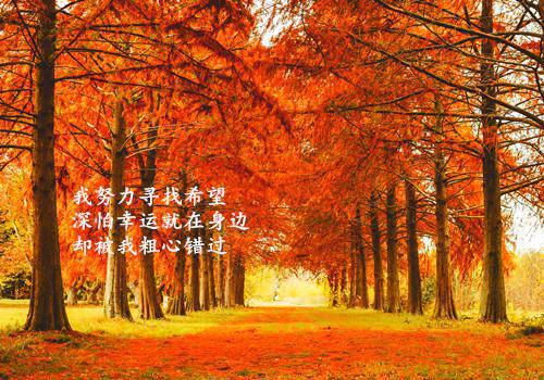 末日高中生（陈夕周琪琪）全文免费阅读_末日高中生最新章节小说免费阅读_笔趣阁