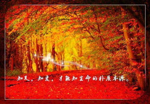 宋晚星云萧昀小说(宋晚星云萧昀小说)全文免费阅读无弹窗大结局_(宋晚星云萧昀小说全文大结局)最新章节列表_笔趣阁（宋晚星云萧昀小说）