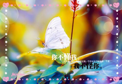 听我心声后，全家成了碰瓷王悠悠精选小说大结局阅读-最新小说(听我心声后，全家成了碰瓷王悠悠)全文阅读