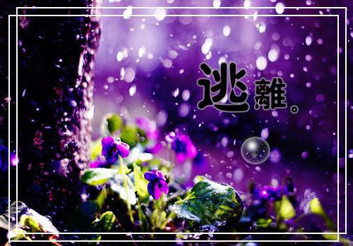 沈浅心陆北妄（沈浅心陆北妄）新上热文免费阅读-沈浅心陆北妄（沈浅心陆北妄）无广告在线阅读