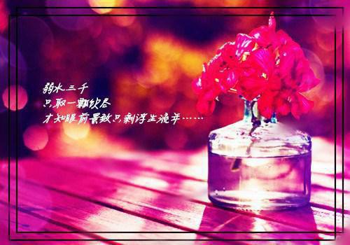 程冰瑜全文免费阅读 全网首发小说京夜无情书