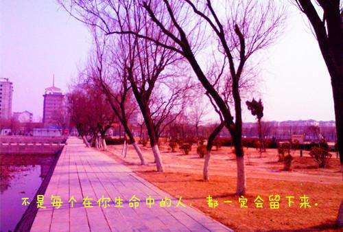 米星儿景延琛(米星儿景延琛第一章除夕夜)全文免费阅读无弹窗_(米星儿景延琛)米星儿景延琛第一章除夕夜最新章节列表笔趣阁（米星儿景延琛）