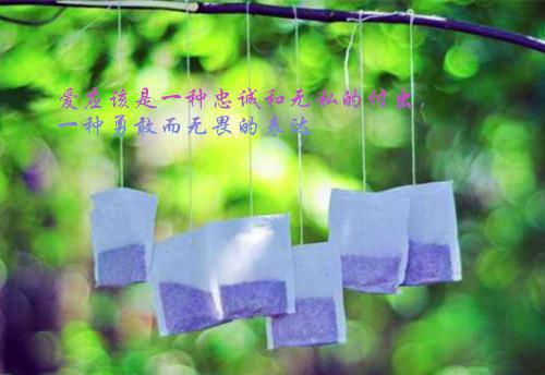 就让一切回忆，在这里终止吧小说(宋昭禾陆琮聿)什么小说-就让一切回忆，在这里终止吧小说热门小说更新宋昭禾陆琮聿