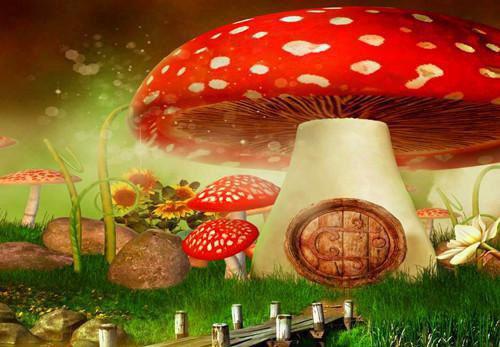 凤洛洛云月玄霜全文免费阅读(凤凰血脉被偷换，重生后我涅槃了小说）全文免费阅读无弹窗大结局_ 凤凰血脉被偷换，重生后我涅槃了小说凤洛洛云月玄霜免费阅读最新章节列表_笔趣阁（凤洛洛云月玄霜）