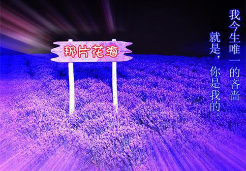 （吾君见字如面）小短篇小说免费阅读-强推温言陈延主角的小说