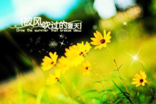 晴木互换全文免费阅读(晴木互换小说)全文免费冷修许如霜读无弹窗大结局_ (冷修许如霜)晴木互换小说免费冷修许如霜读无弹窗最新章节列表_笔趣阁（晴木互换小说）