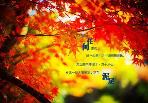 (爆火全本)得知我一个人就是豪门后，妻子追悔莫及：结局+番外+完结全文（苏轻语许流年）在线完结版小说阅读_得知我一个人就是豪门后，妻子追悔莫及：结局+番外+完结全本列表免费笔趣阁（苏轻语许流年）