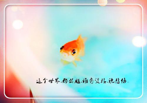 (番外)+(全文)雾失楼台冷千山：结局+番外（简颖顾书臣）全文免费阅读无弹窗大结局_（雾失楼台冷千山：结局+番外免费阅读全文大结局）最新章节列表_笔趣阁（雾失楼台冷千山：结局+番外）