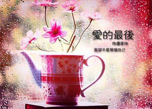 孟以柔沈淮忱小说（孟以柔沈淮忱小说）全文免费阅读无弹窗大结局_孟以柔沈淮忱最新章节列表_笔趣阁（孟以柔沈淮忱小说）
