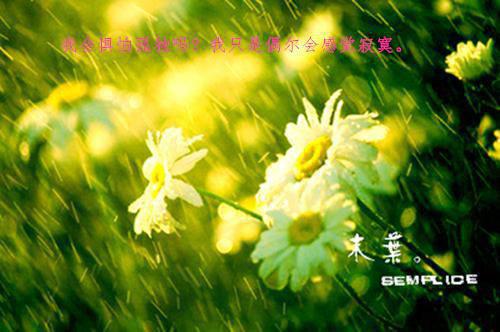 程妄程秋意全文免费阅读（篮心狼群）全文免费程妄程秋意无弹窗大结局_（篮心狼群程妄程秋意）篮心狼群最新章节列表_笔趣阁（程妄程秋意）