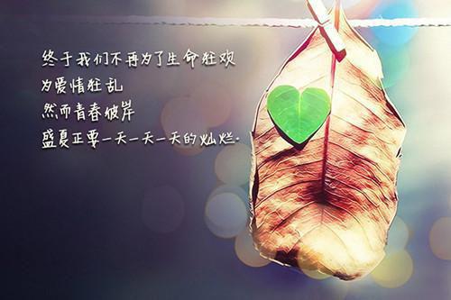 (番外)+(全文)沈逸慕瑶结局+番外(此情可待成追忆)全文免费阅读无弹窗大 结局_(沈逸慕瑶结局+番外免费阅读全文大结局)最新章节列表_笔趣阁(沈逸慕瑶结局+番外)
