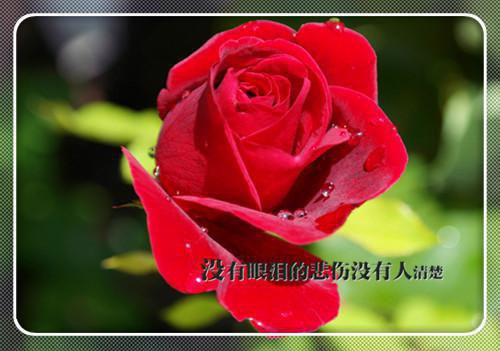 夏芸,霍沐宇小说全文免费阅读无弹窗大结局_（夏芸霍沐宇）夏芸,霍沐宇小说最新章节列表笔趣阁（夏芸霍沐宇）